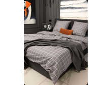 ���� ������ 220 �� ��������� 125 ��/�2 ������