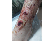 Photo 2025-09-16 19-32-04 (2).jpg