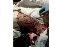 Photo 2025-06-11 09-12-18 (2).jpg