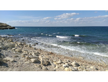 IMG 20250927 143317.jpg