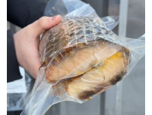 ����� �������� ��������