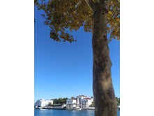 IMG 20250924 131357.jpg