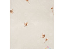 ������ 220 ��, F-72012 �+�2.png