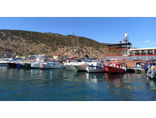 IMG 20250926 130058.jpg