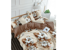 ������ 220 ��, 1603 �+�.png