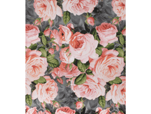 ������ 220 ��, 1455 A+B1.png