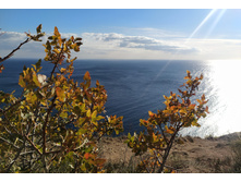 IMG 20250926 161906.jpg