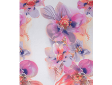 ������ 220 ��, F-72002 �+�1.png