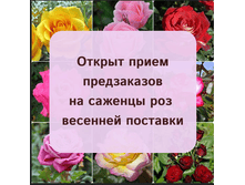 ���� �� 02.03. ���-���! ����. ���������. ���-�� ����������! �������� ������-��� 2026�.-18.