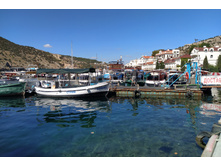 IMG 20250926 130619.jpg