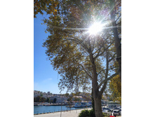 IMG 20250924 131424.jpg