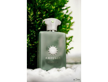 Meander AMOUAGE � � 100 �� 14200+%+����
