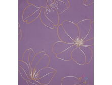 ������ 220 ��, F-72002 �+�2.png