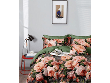 ������ 220 ��, 1455 A+B.png