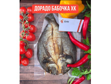 ������ ������� ��������� ��������