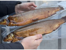 ������ ��