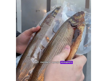 ������ ��