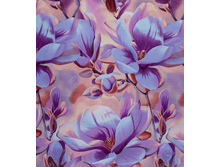 ������ 220 ��, F-72004 �+� (4).png