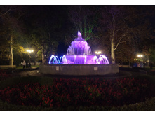 IMG 20250925 191643.jpg