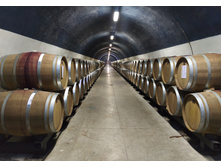 IMG 20250930 192453.jpg