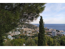 IMG 20250928 163209.jpg