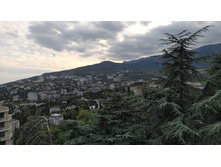 IMG 20250928 164239.jpg