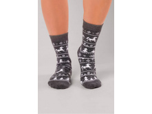 CLE ����� ���.�2550� �� ���� ���� 139+% ������ 23 - 3 ���,