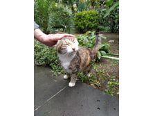 IMG 20250930 122853.jpg