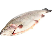 ������ ����������� 2-3 �� ����������� �������