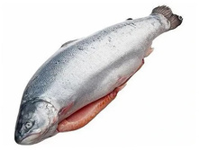 ������ ���������� ����������� ������ 2-3 ��