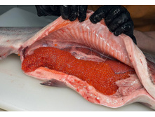 ������ ����� 3-4.5 �� ����������� ������� (��������� 90%)