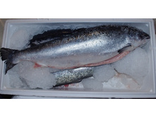 ���� - ������ ����������� ������������� �������� 6-7 ��