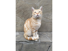 IMG 20250929 121840.jpg