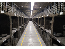 IMG 20250930 193759.jpg