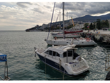 IMG 20250928 170742.jpg