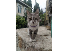 IMG 20250929 123712.jpg