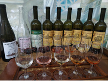 IMG 20250930 204222.jpg