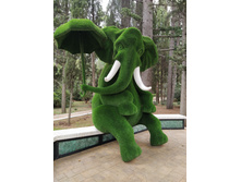 IMG 20250929 110455.jpg