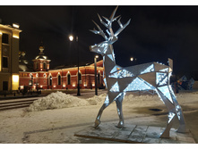 IMG 20251212 181910.jpg