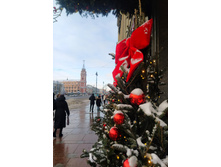 IMG 20260108 132126.jpg