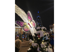 IMG 20260108 183043.jpg