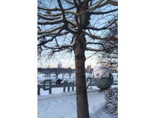 IMG 20260105 103552.jpg