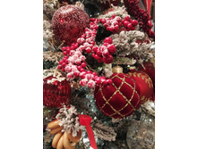 IMG 20260109 144931.jpg