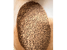 ������� - ���� ����� �������