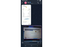 ��������. 12.