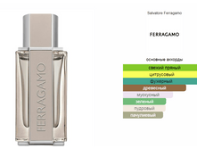 Ferragamo Bright Leather Salvatore Ferragamo ��� ������ 100��