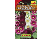 ���� ���� ��������� ����� // ������