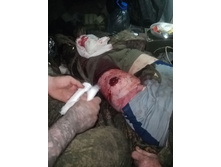 Photo 2025-12-29 14-09-41.jpg