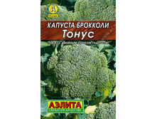 ������� �������� ����� // ������