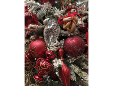 IMG 20260109 144947.jpg